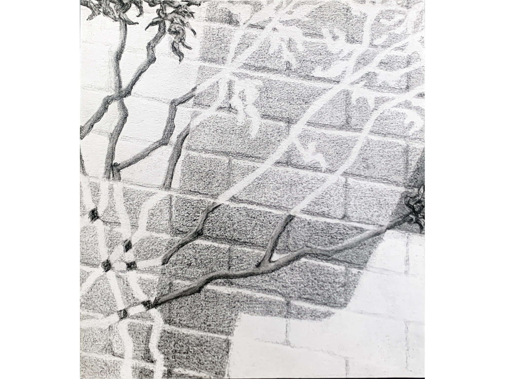 MOONLIGHT, pencil on paper 21x19 cm, 2022
